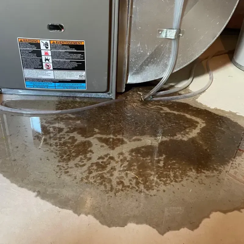 Appliance Leak Cleanup in McMechen, WV